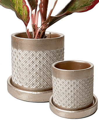 Balter Ceramic Pot And Saucer Set - Chive US Wholesale