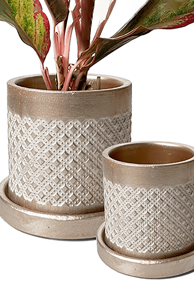 Balter Ceramic Pot And Saucer Set - Chive US Wholesale