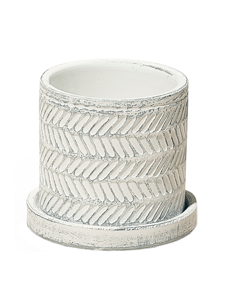 Balter Ceramic Pot And Saucer Set - Chive US Wholesale