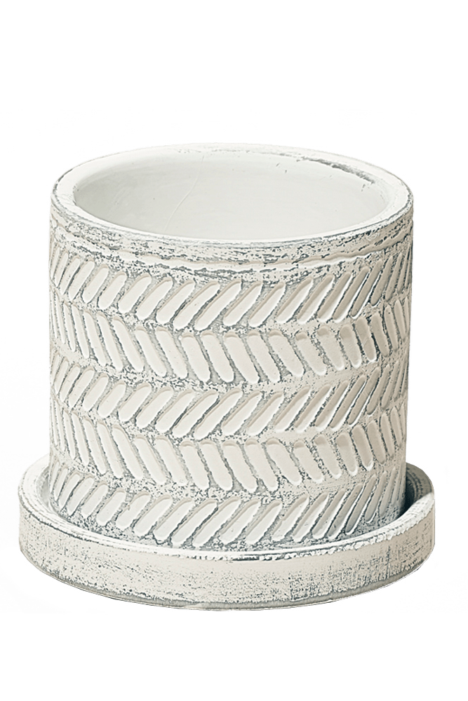 Balter Ceramic Pot And Saucer Set - Chive US Wholesale