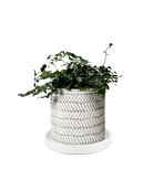 Balter Ceramic Pot And Saucer Set - Chive US Wholesale