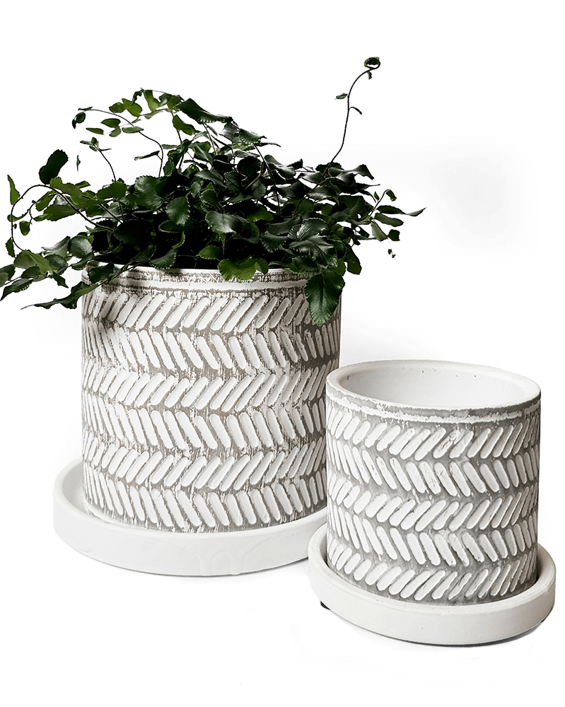 Balter Ceramic Pot And Saucer Set - Chive US Wholesale