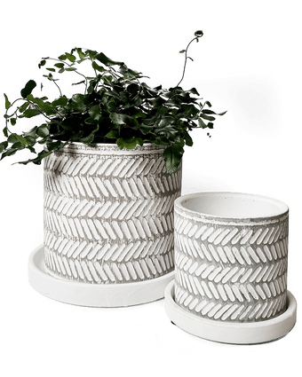 Balter Ceramic Pot And Saucer Set - Chive US Wholesale
