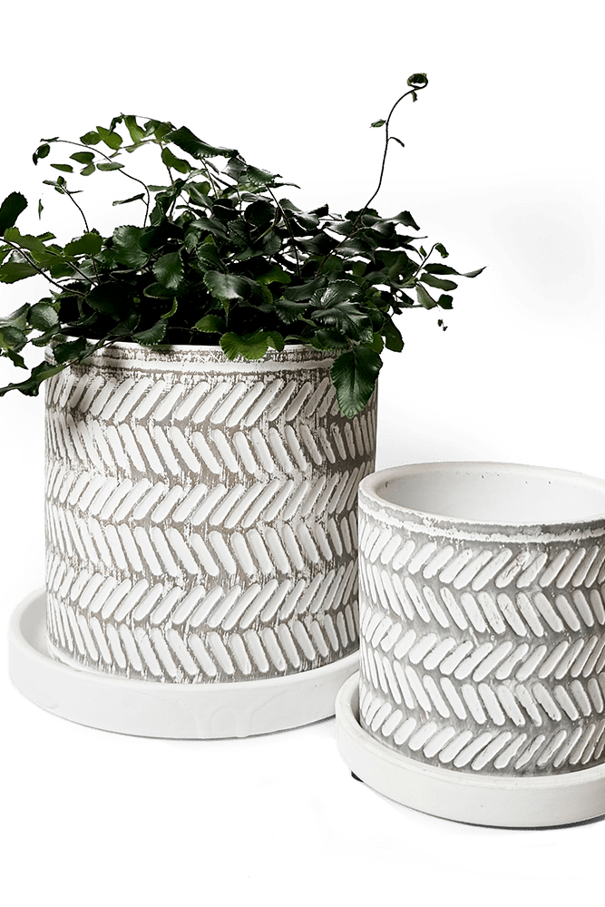 Balter Ceramic Pot And Saucer Set - Chive US Wholesale