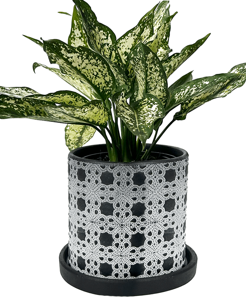 Balter Ceramic Pot And Saucer Set - Chive US Wholesale