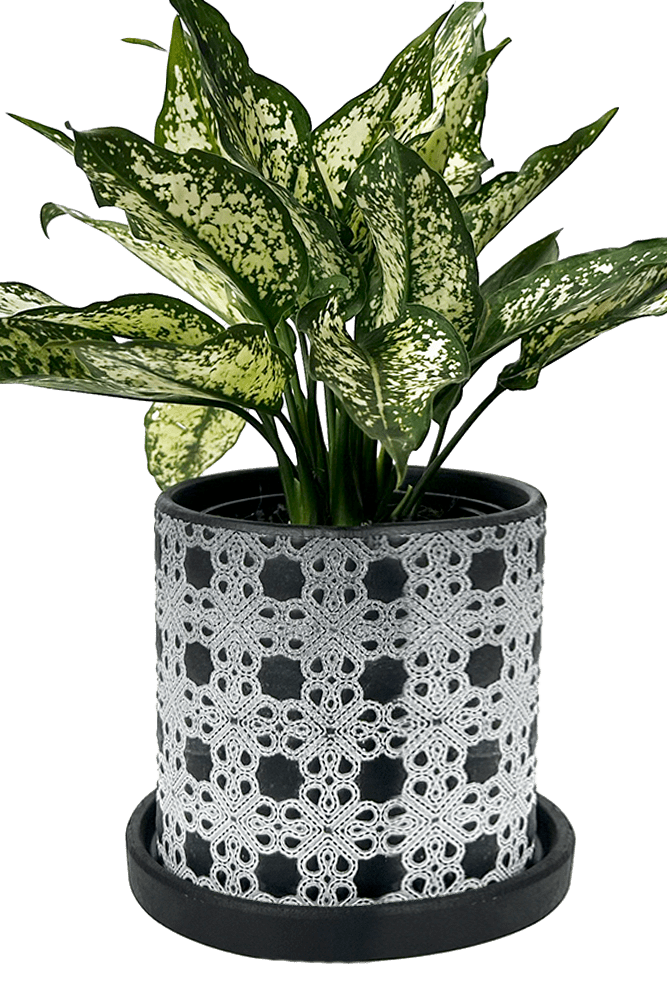 Balter Ceramic Pot And Saucer Set - Chive US Wholesale