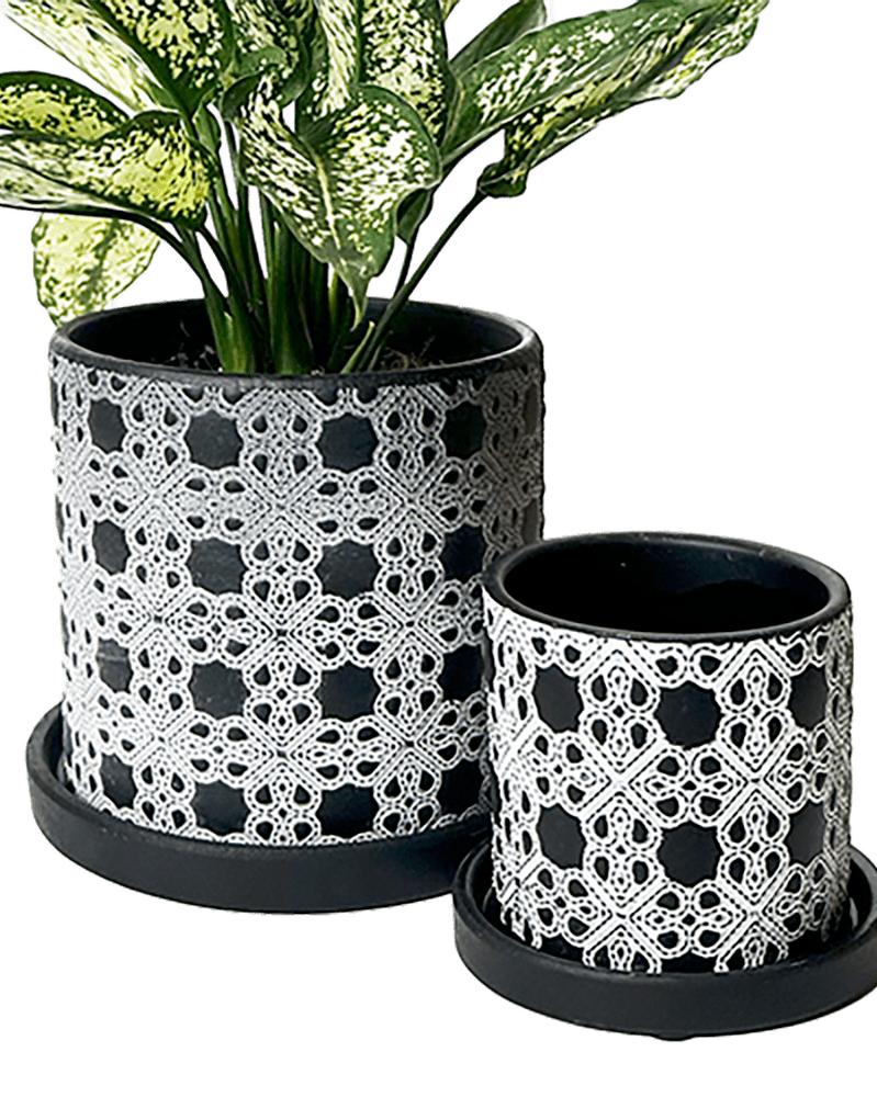 Balter Ceramic Pot And Saucer Set - Chive US Wholesale