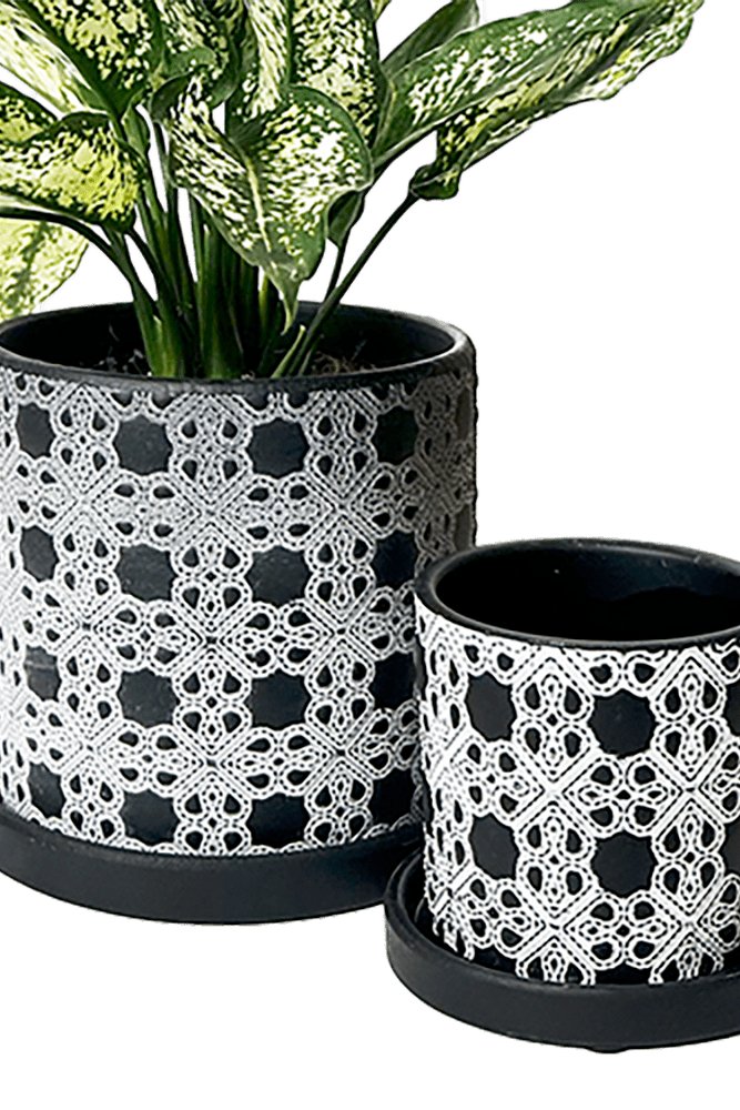 Balter Ceramic Pot And Saucer Set - Chive US Wholesale