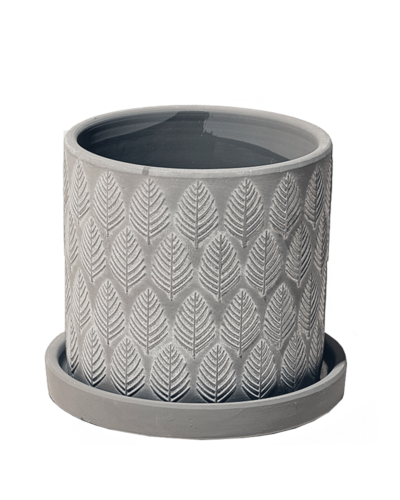 Balter Ceramic Pot And Saucer Set - Chive US Wholesale