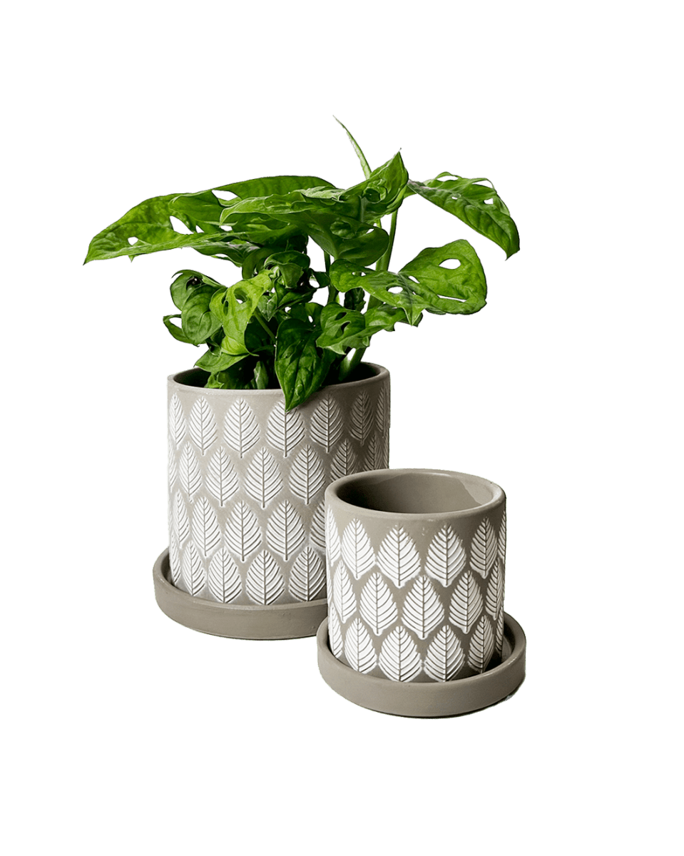 Balter Ceramic Pot And Saucer Set - Chive US Wholesale