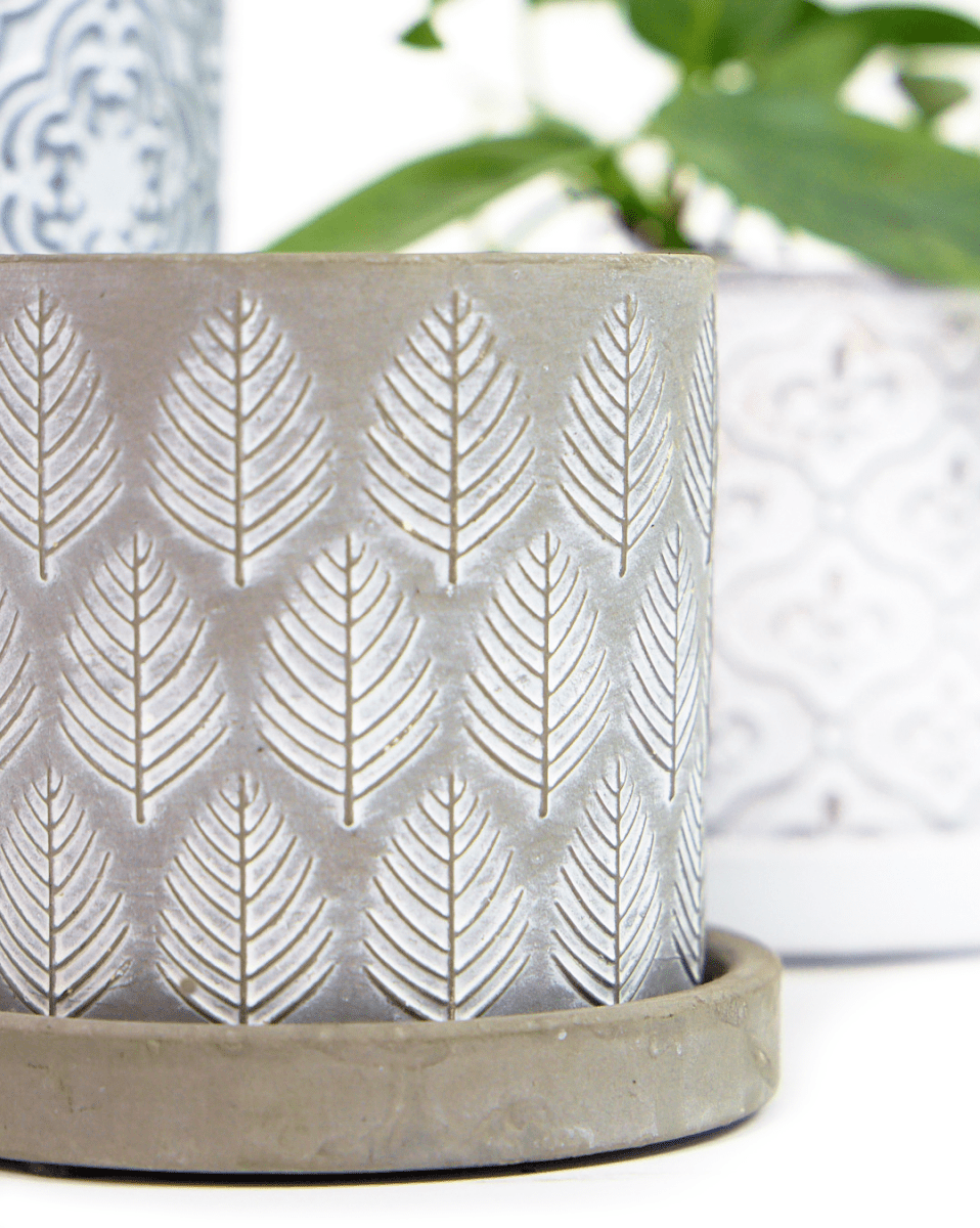 Balter Ceramic Pot And Saucer Set - Chive US Wholesale