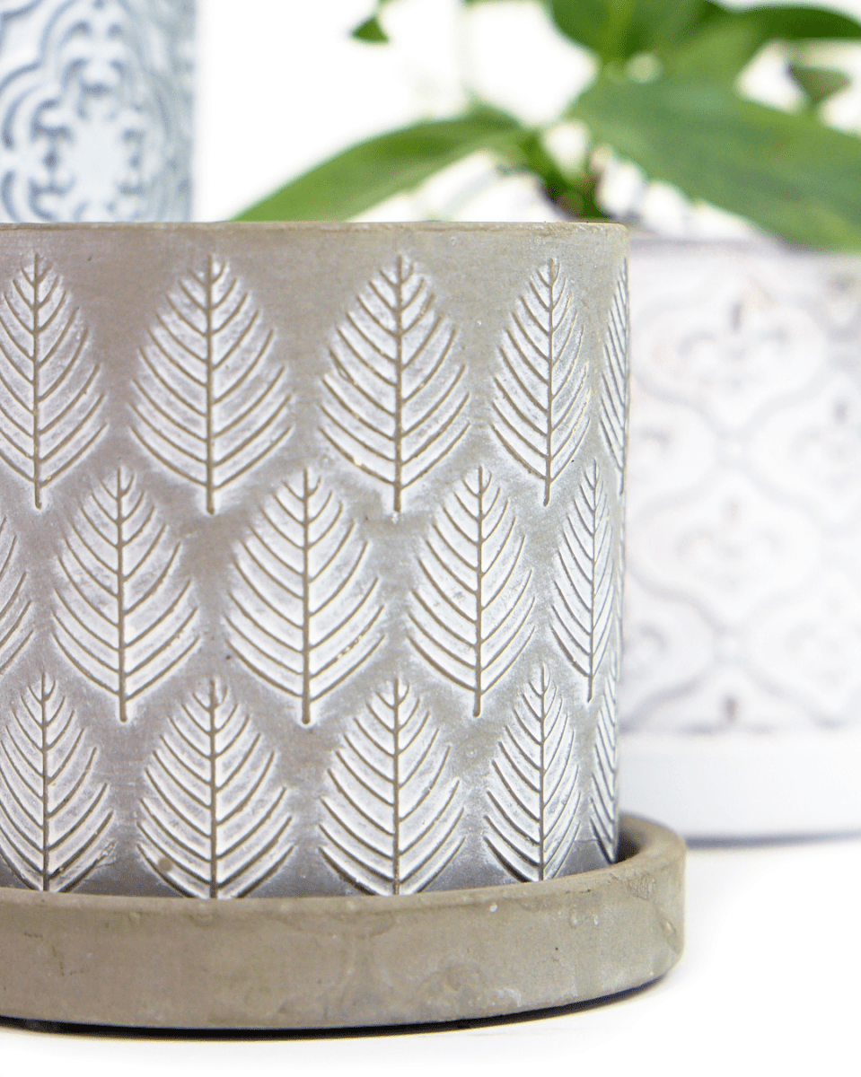 Balter Ceramic Pot And Saucer Set - Chive US Wholesale