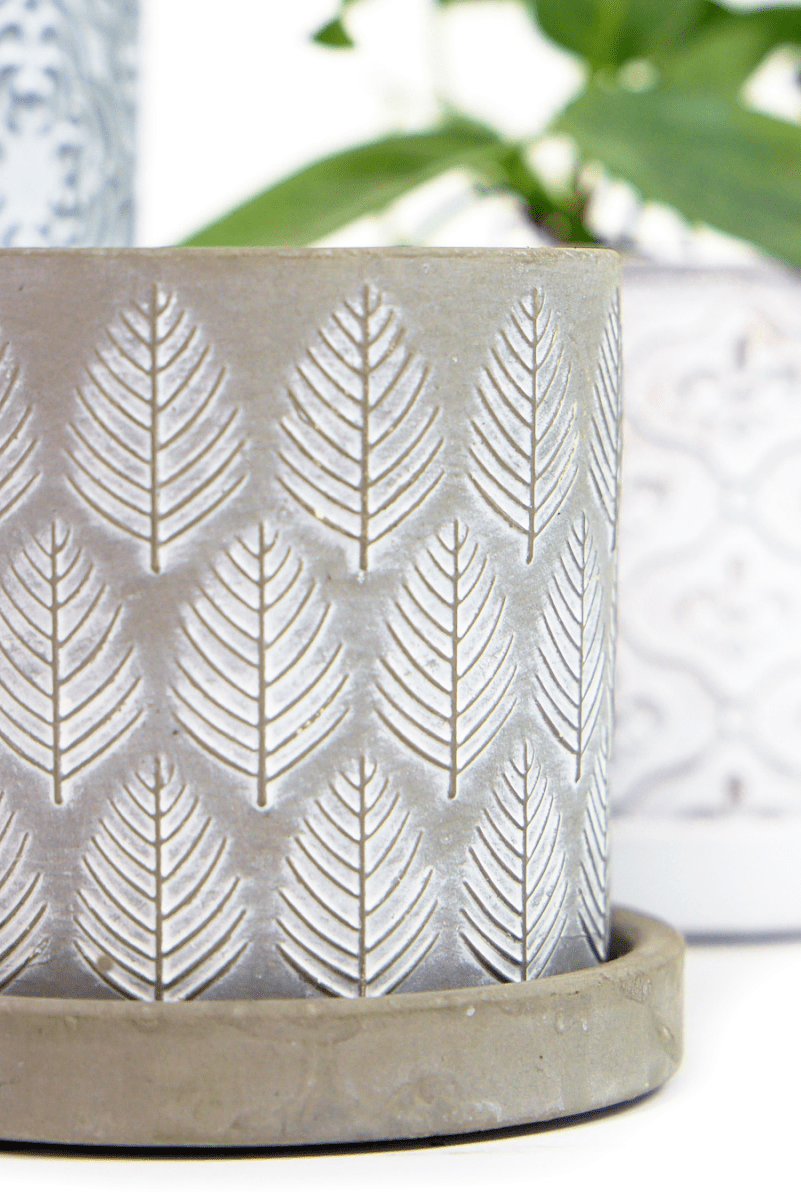 Balter Ceramic Pot And Saucer Set - Chive US Wholesale