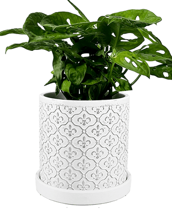 Balter Ceramic Pot And Saucer Set - Chive US Wholesale