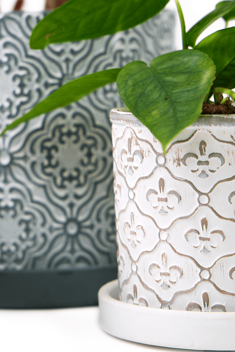 Balter Ceramic Pot And Saucer Set - Chive US Wholesale