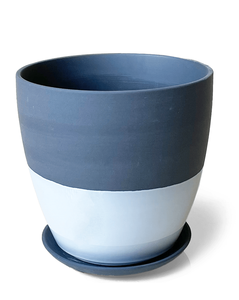 Dyad Porcelain Modern Indoor Plant Pot With Saucer - Chive US Wholesale