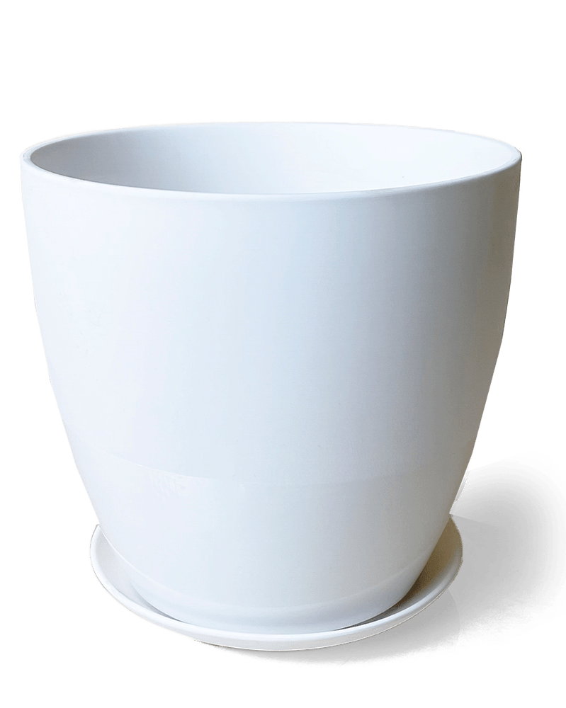 Dyad Porcelain Modern Indoor Plant Pot With Saucer - Chive US Wholesale