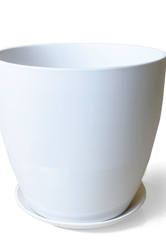 Dyad Porcelain Modern Indoor Plant Pot With Saucer - Chive US Wholesale