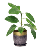 Joe Metal Pot With Drainage Hole - Chive US Wholesale
