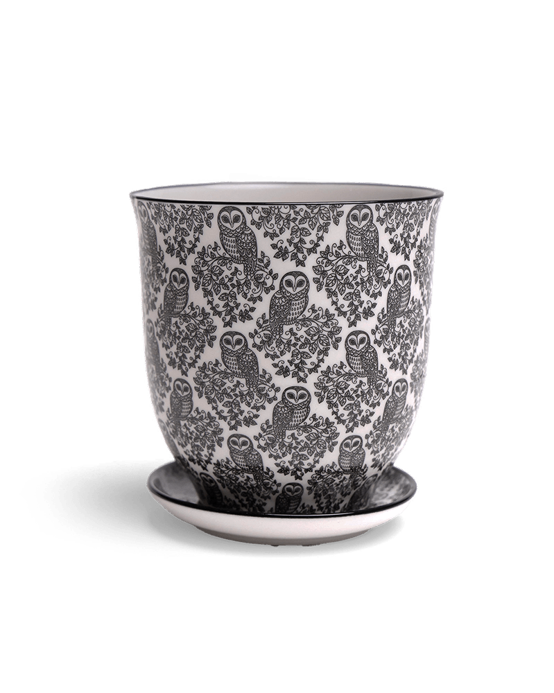 Liberte Porcelain Pot And Saucer Set With Drainage - Chive US Wholesale