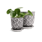 Liberte Porcelain Pot And Saucer Set With Drainage - Chive US Wholesale