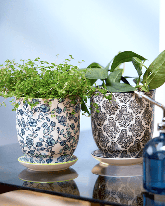 Liberte Porcelain Pot And Saucer Set With Drainage - Chive US Wholesale