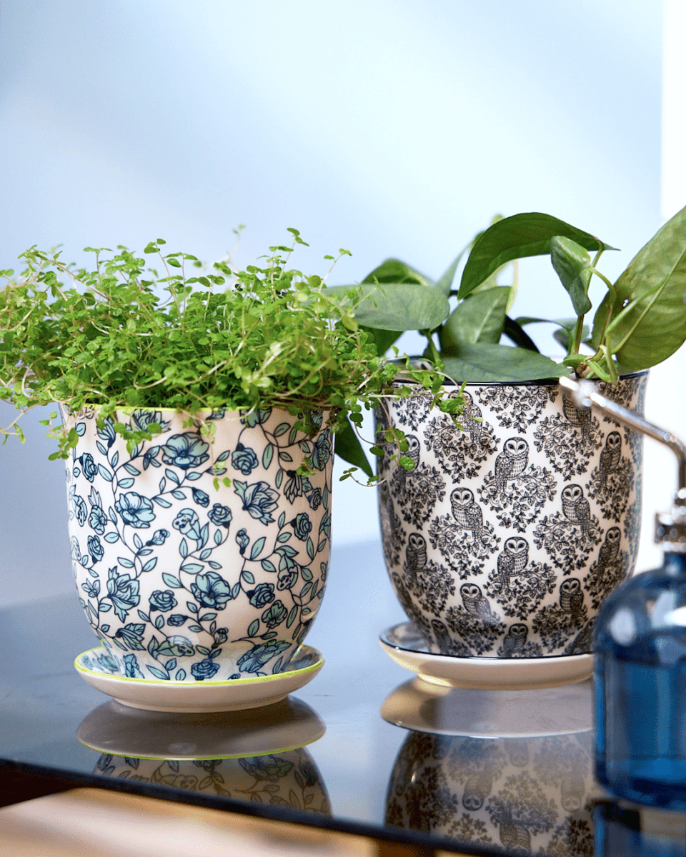 Liberte Porcelain Pot And Saucer Set With Drainage - Chive US Wholesale