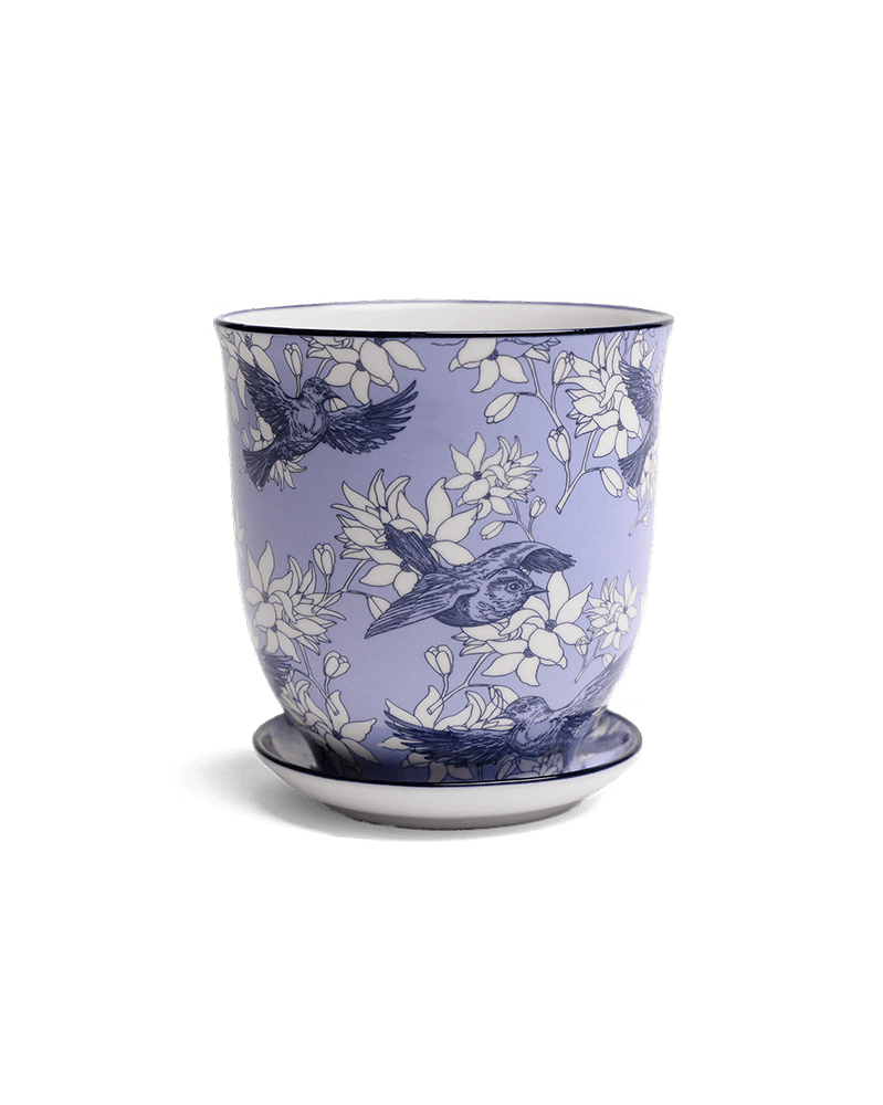 Liberte Porcelain Pot And Saucer Set With Drainage - Chive US Wholesale