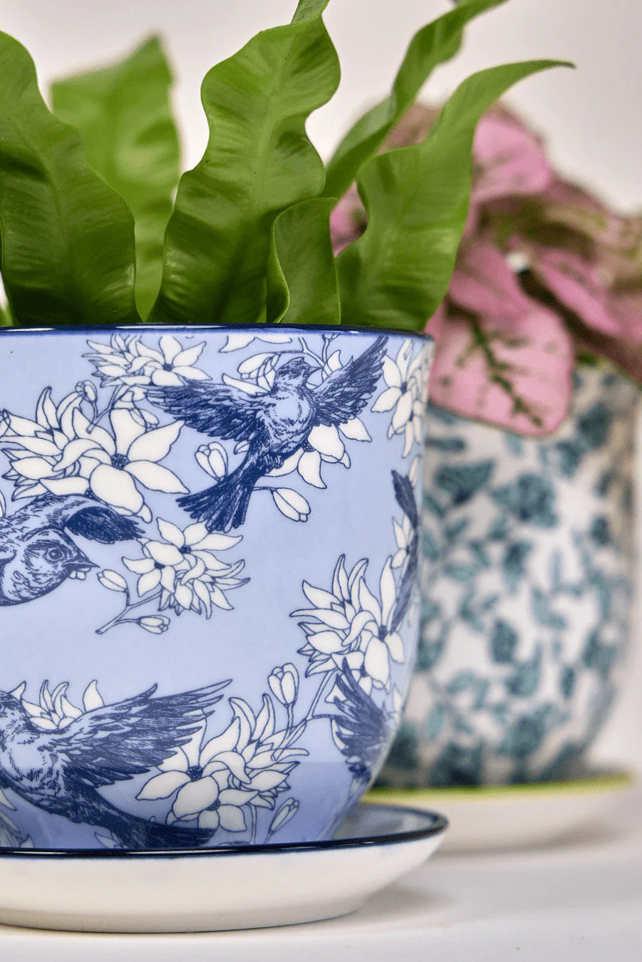 Liberte 4 Pot And Saucer 48pc Kit - Medium - Chive US Wholesale