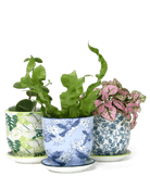 Liberte Porcelain Pot And Saucer Set With Drainage - Chive US Wholesale