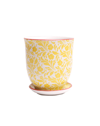 Liberte Porcelain Pot And Saucer Set With Drainage - Chive US Wholesale