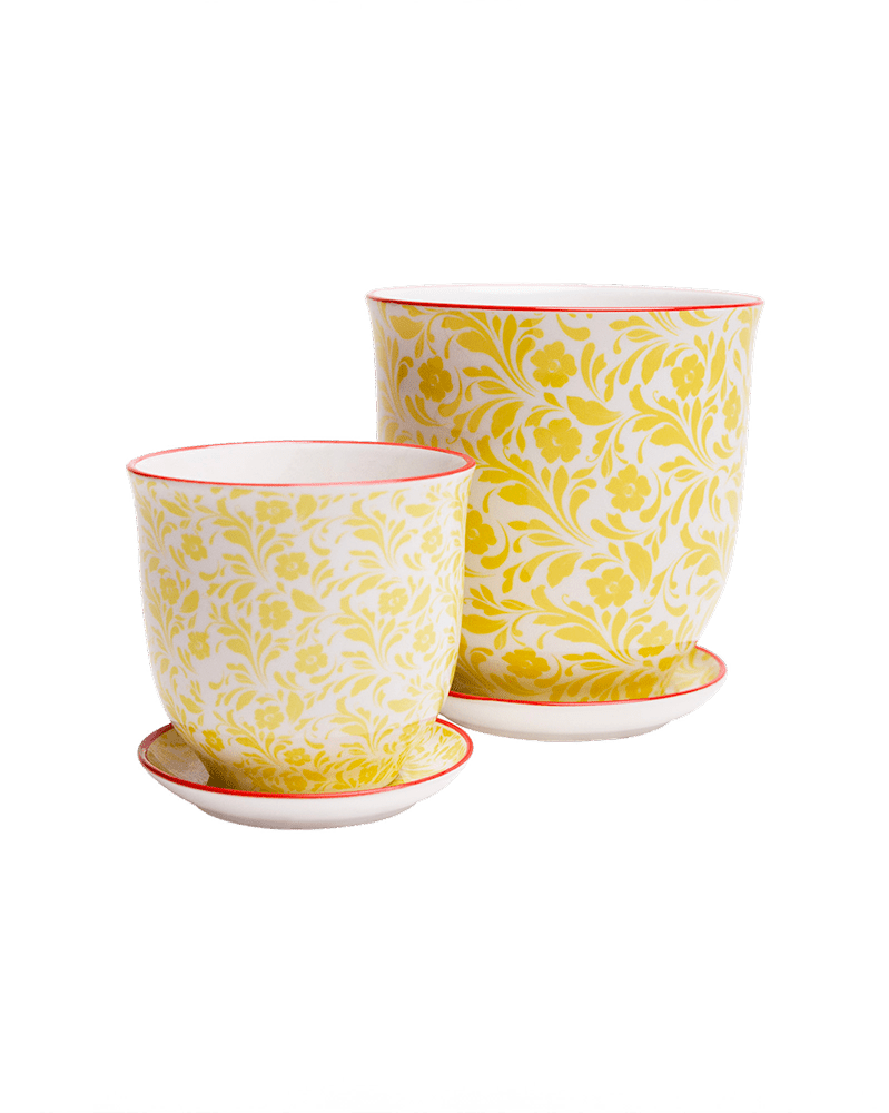 Liberte Porcelain Pot And Saucer Set With Drainage - Chive US Wholesale