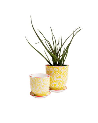 Liberte Porcelain Pot And Saucer Set With Drainage - Chive US Wholesale
