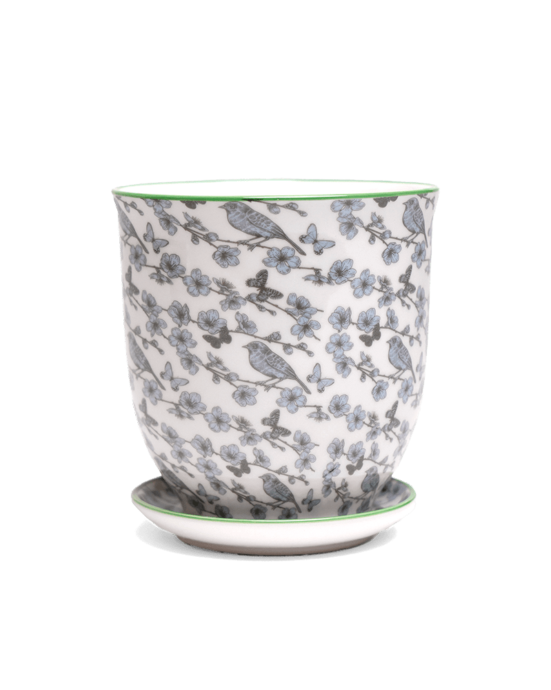 Liberte 5 Porcelain Pot And Saucer With Drainage - Chive US Wholesale