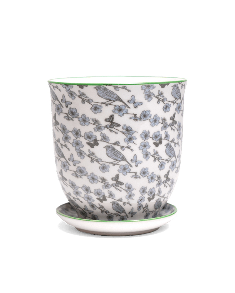 Liberte 5 Porcelain Pot And Saucer With Drainage - Chive US Wholesale