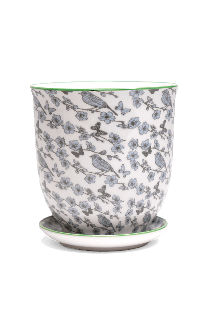 Liberte 5 Porcelain Pot And Saucer With Drainage - Chive US Wholesale