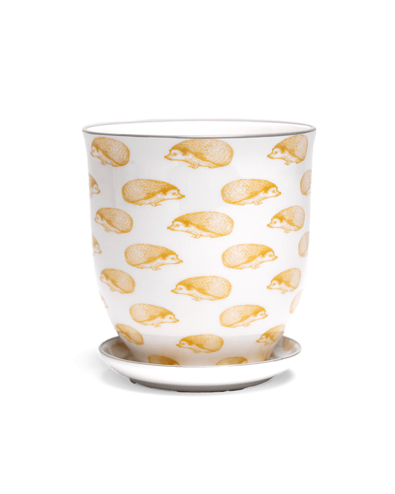 Liberte 5 Porcelain Pot And Saucer With Drainage - Chive US Wholesale