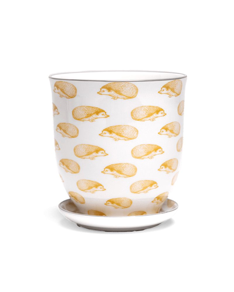 Liberte 5 Porcelain Pot And Saucer With Drainage - Chive US Wholesale