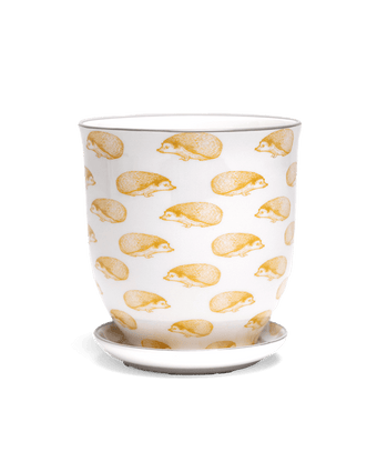 Liberte 5 Porcelain Pot And Saucer With Drainage - Chive US Wholesale