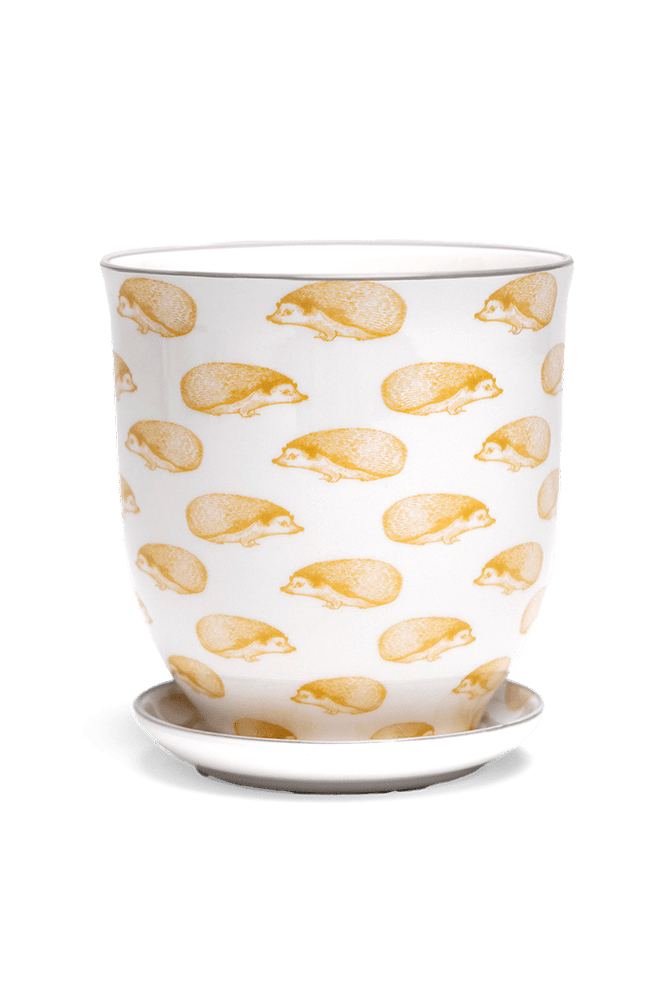 Liberte 5 Porcelain Pot And Saucer With Drainage - Chive US Wholesale