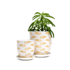 Liberte 5 Porcelain Pot And Saucer With Drainage - Chive US Wholesale