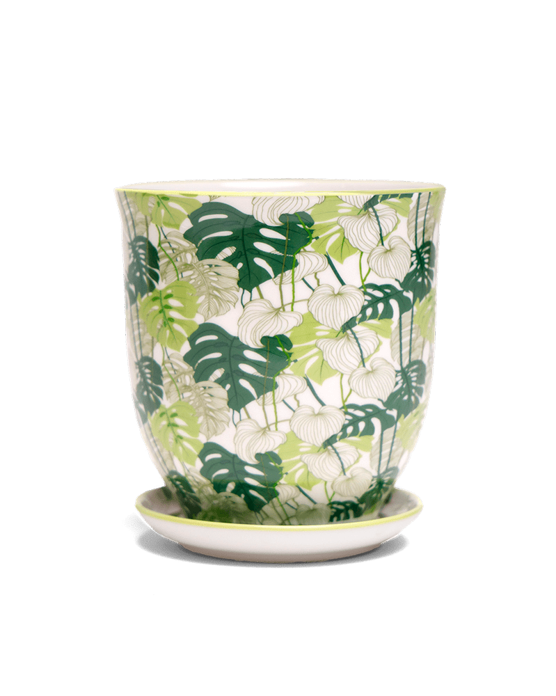 Liberte 5 Porcelain Pot And Saucer With Drainage - Chive US Wholesale