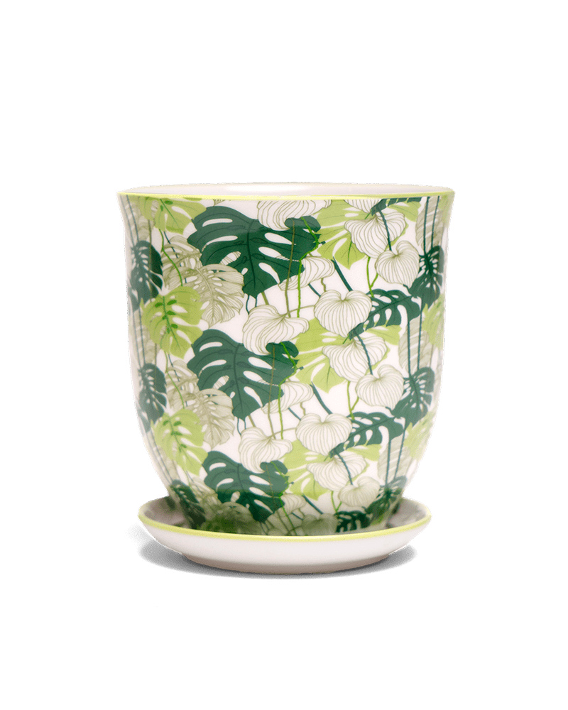 Liberte 5 Porcelain Pot And Saucer With Drainage - Chive US Wholesale