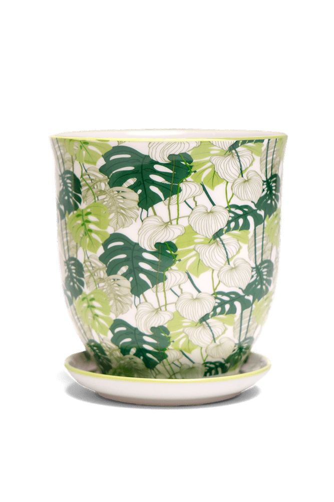 Liberte 5 Porcelain Pot And Saucer With Drainage - Chive US Wholesale