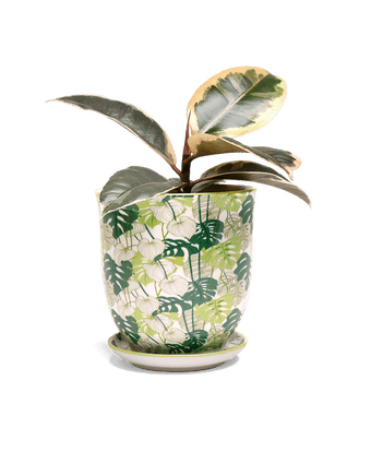 Liberte 5 Porcelain Pot And Saucer With Drainage - Chive US Wholesale