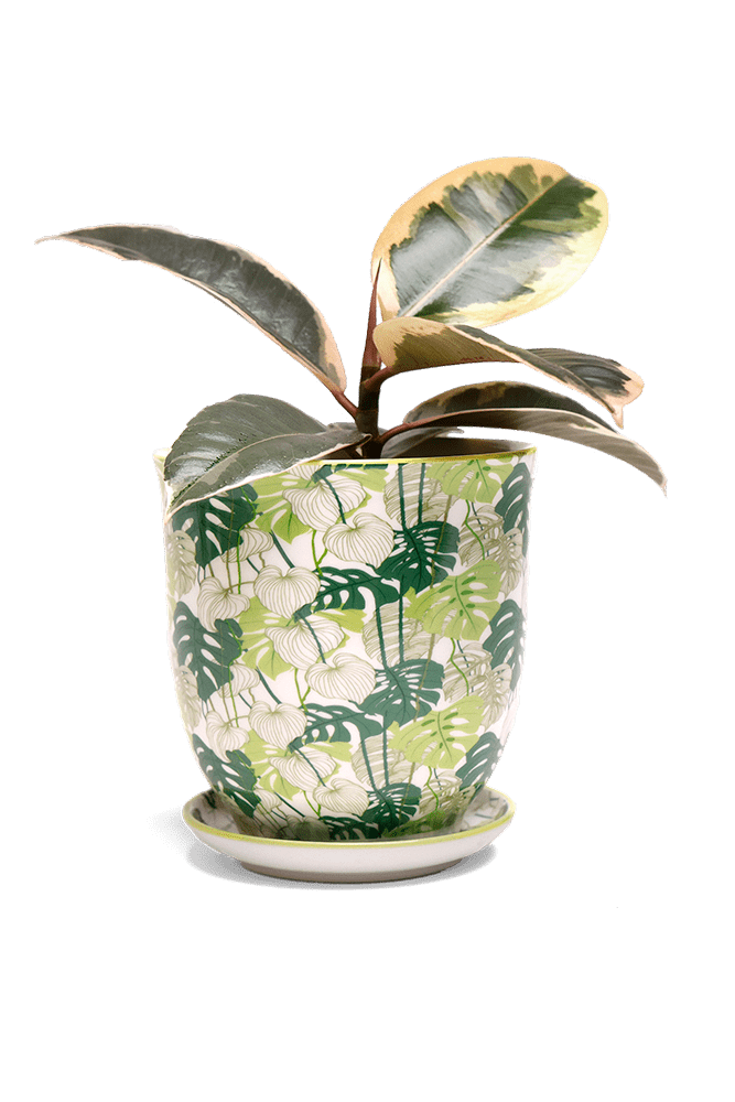 Liberte 5 Porcelain Pot And Saucer With Drainage - Chive US Wholesale