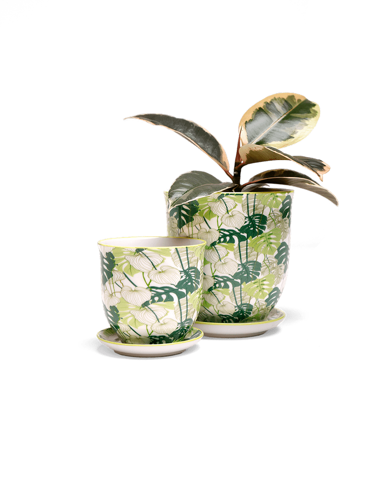 Liberte 5 Porcelain Pot And Saucer With Drainage - Chive US Wholesale