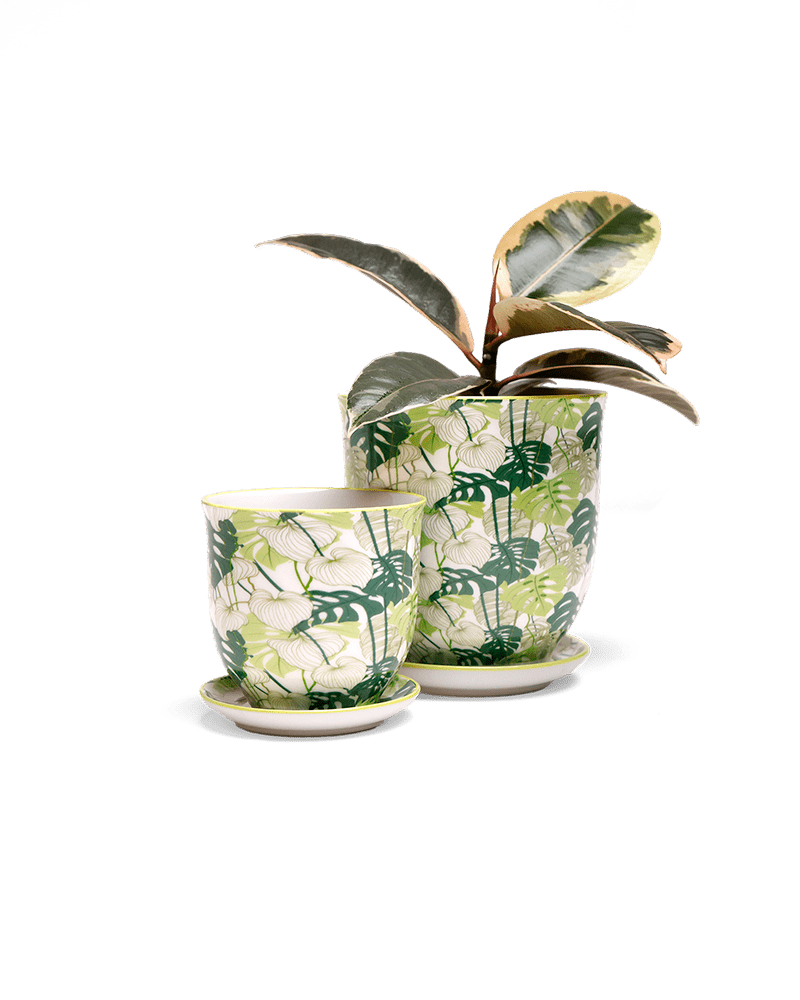 Liberte 5 Porcelain Pot And Saucer With Drainage - Chive US Wholesale