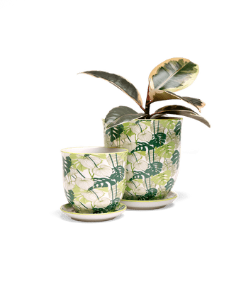 Liberte 5 Porcelain Pot And Saucer With Drainage - Chive US Wholesale