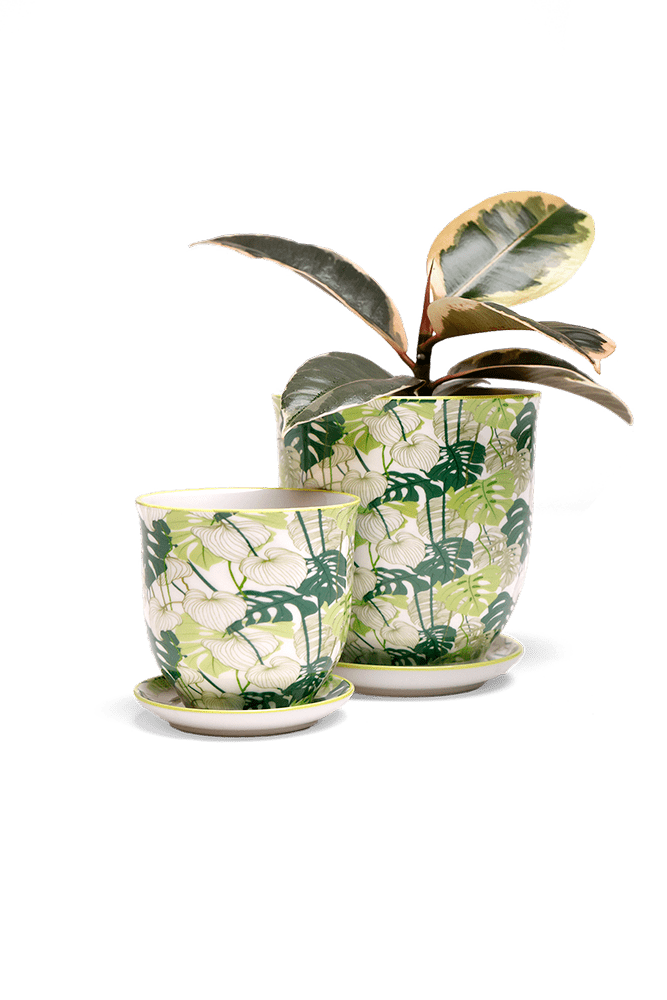 Liberte 5 Porcelain Pot And Saucer With Drainage - Chive US Wholesale